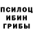 Псилоцибиновые грибы Cubensis Esdest Esdest