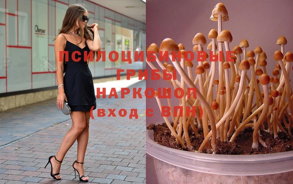 спиды Карпинск